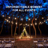Powerboards & Adapters: Festoon String Lights 20 Bulbs 23M Fairy LED Waterproof Outdoor Christmas Party