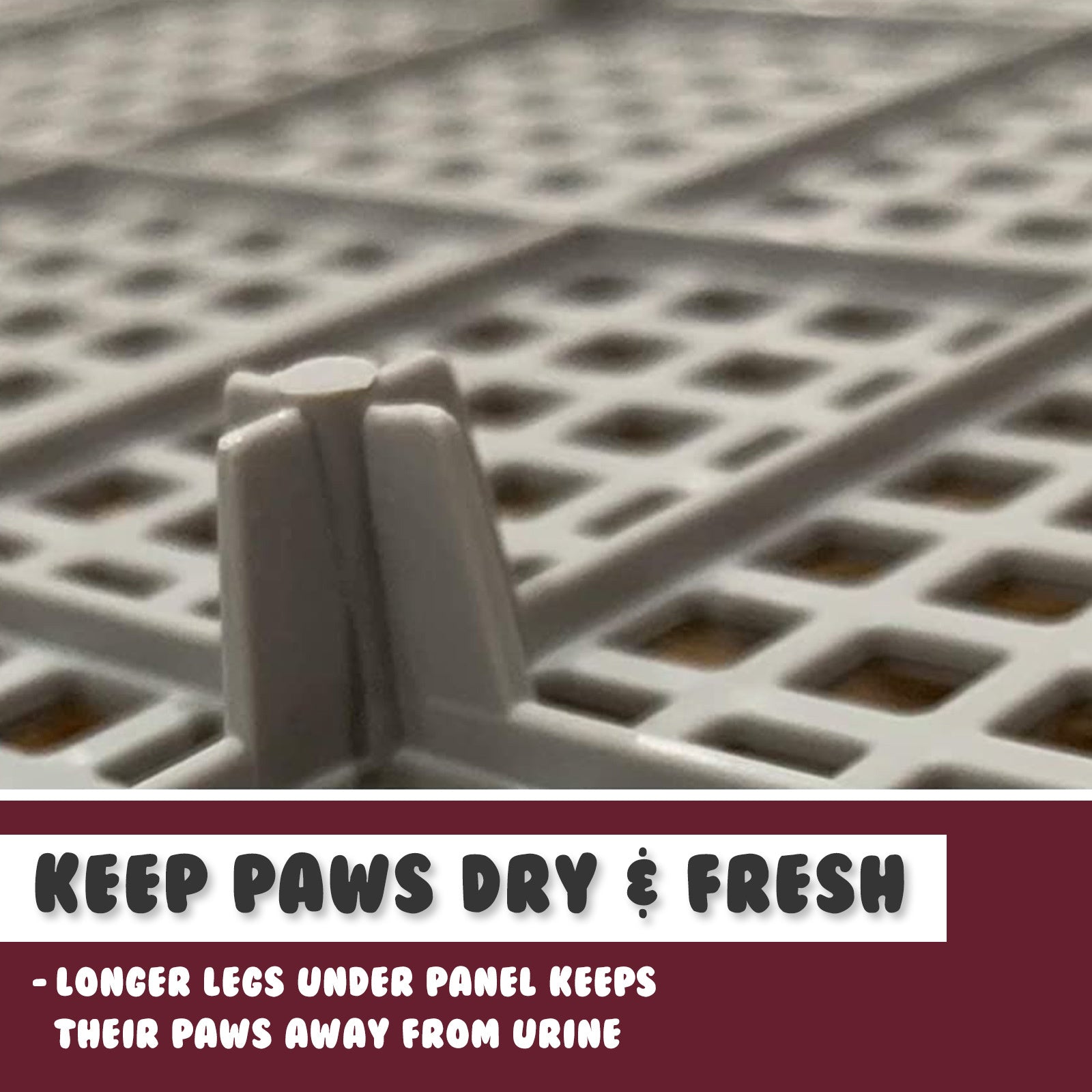 Dog Training Aids: Dog Pet Potty Tray Training Toilet Raised Walls T1 WINE