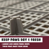 Dog Training Aids: Dog Pet Potty Tray Training Toilet Raised Walls T1 WINE