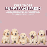 Dog Training Aids: Dog Pet Potty Tray Training Toilet Raised Walls T1 WINE