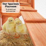 Coop & Hutch Accessories: Rabbit Hutch Chicken Coop 204 x 45 x 85cm 2 Storey Cage Mansion
