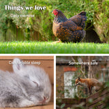 Coop & Hutch Accessories: Rabbit Hutch Chicken Coop 204 x 45 x 85cm 2 Storey Cage Mansion