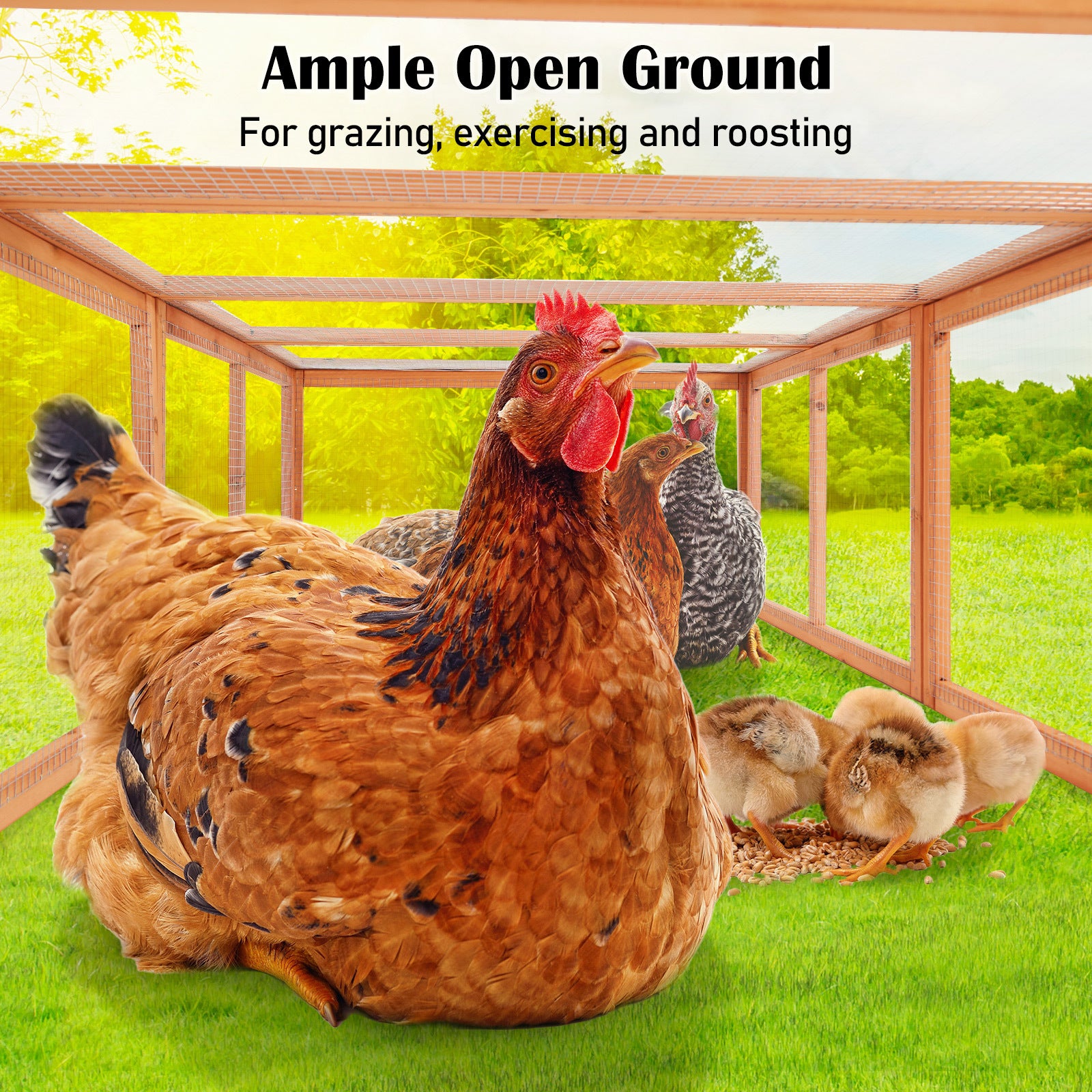 Coop & Hutch Accessories: Paw Mate Chicken Coop Rabbit Hutch Extension Run 180 x 90 x 48cm Runey