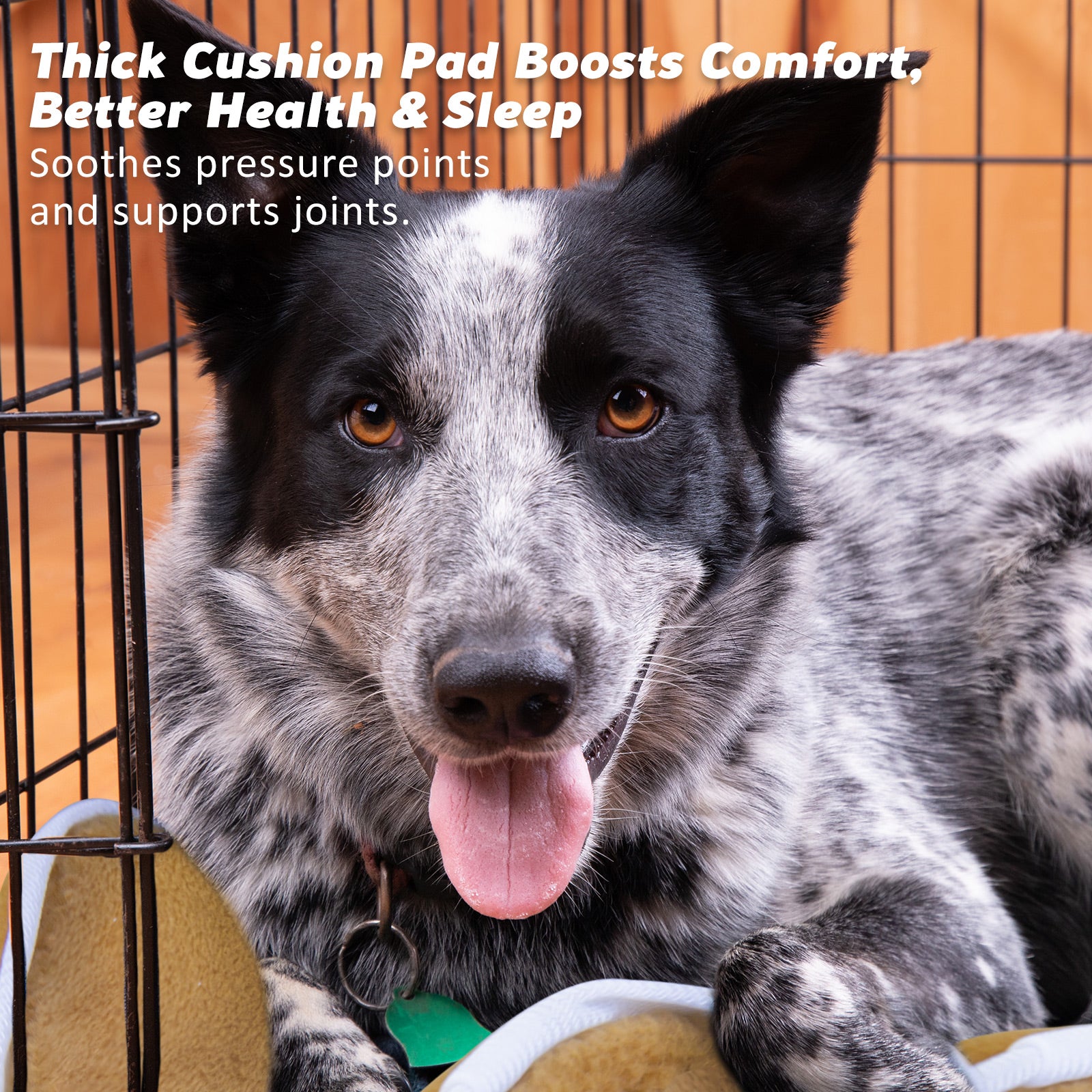 Dog Playpens & Gates: Wire Dog Cage Foldable Crate Kennel 48in with Tray + Cushion Mat Combo