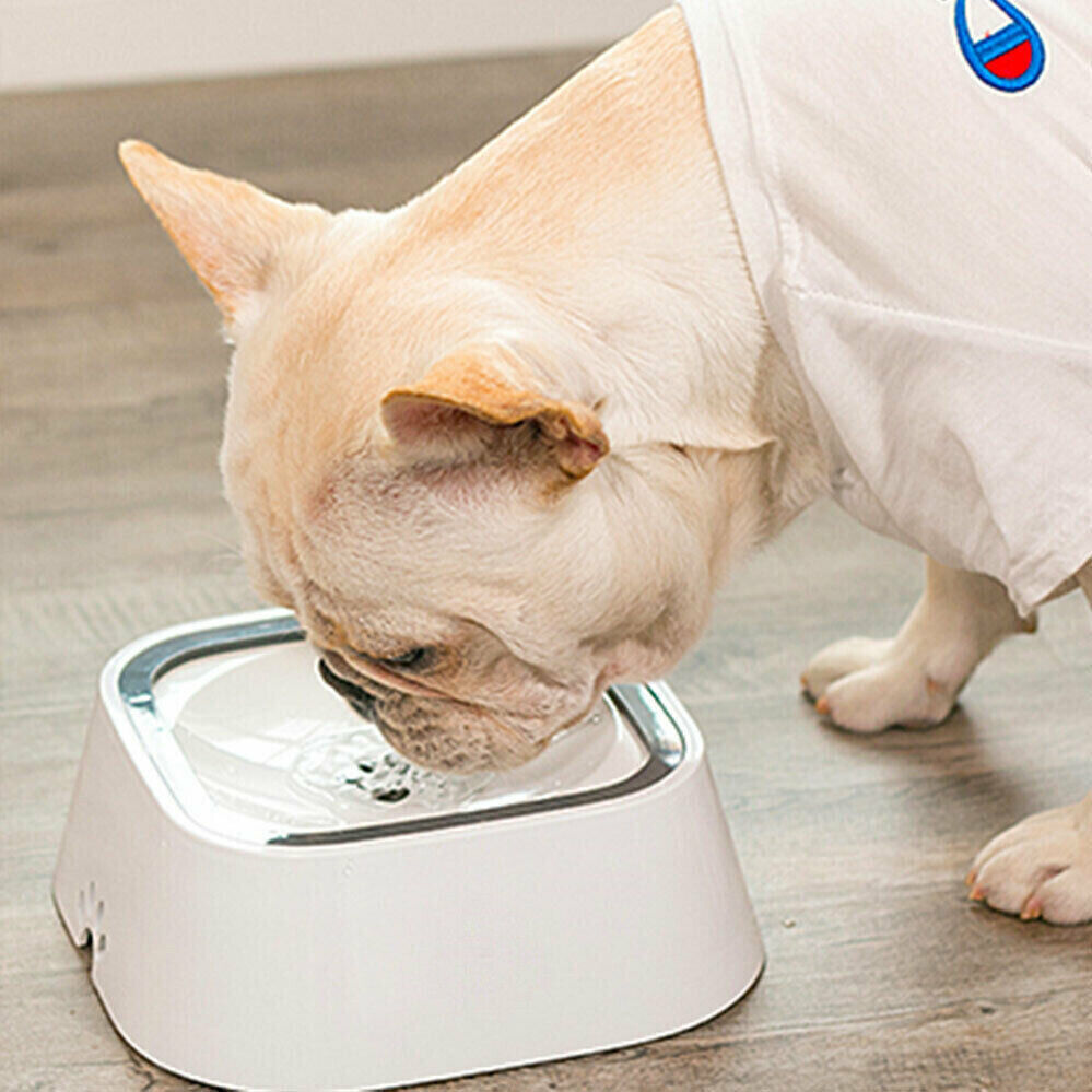 Dog Bowls, Feeders & Waterers: YES4PETS 1 x Medium Pet No Spill Feeder Bowl Dog Cat Puppy slow food Interactive Dish Dispenser