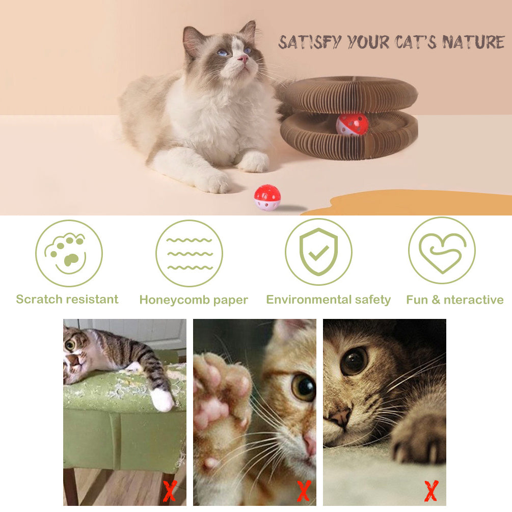Cat Scratchers: YES4PETS 2 x Small Magic Organ Cat Kitten Scratching Board Toy Play Best Scratcher