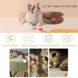 Cat Scratchers: YES4PETS 2 x Small Magic Organ Cat Kitten Scratching Board Toy Play Best Scratcher