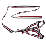 Dog Collars, Leads & Harnesses: YES4PETS 2 X Large Pet Dog Harness Collar leash lead