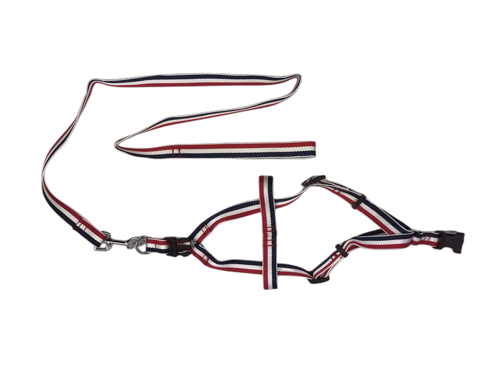 Dog Collars, Leads & Harnesses: YES4PETS 2 X Large Pet Dog Harness Collar leash lead