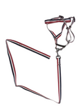 Dog Collars, Leads & Harnesses: YES4PETS 2 X Large Pet Dog Harness Collar leash lead