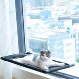 Dog Carriers & Crates: Pet Cat Window Mounted Durable Seat Hammock Perch Bed Hold Up To 20 kg