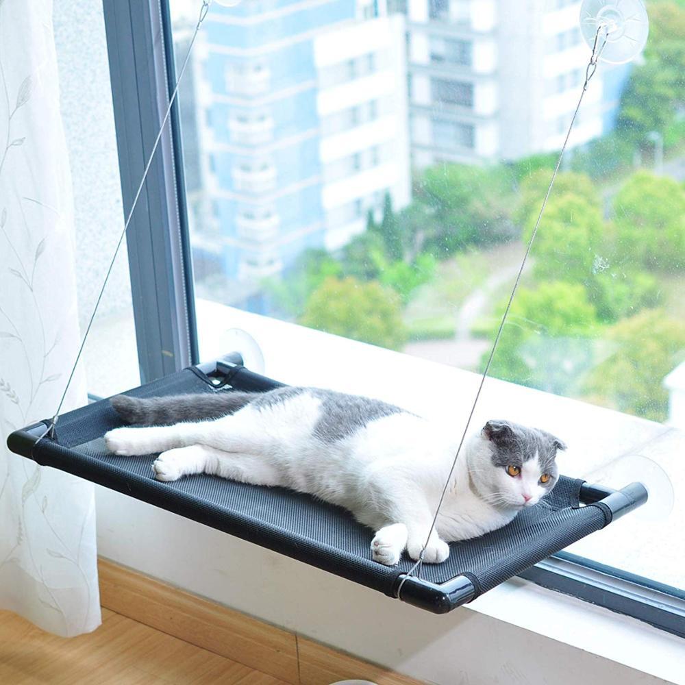 Dog Carriers & Crates: Pet Cat Window Mounted Durable Seat Hammock Perch Bed Hold Up To 20 kg