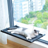 Dog Carriers & Crates: Pet Cat Window Mounted Durable Seat Hammock Perch Bed Hold Up To 20 kg