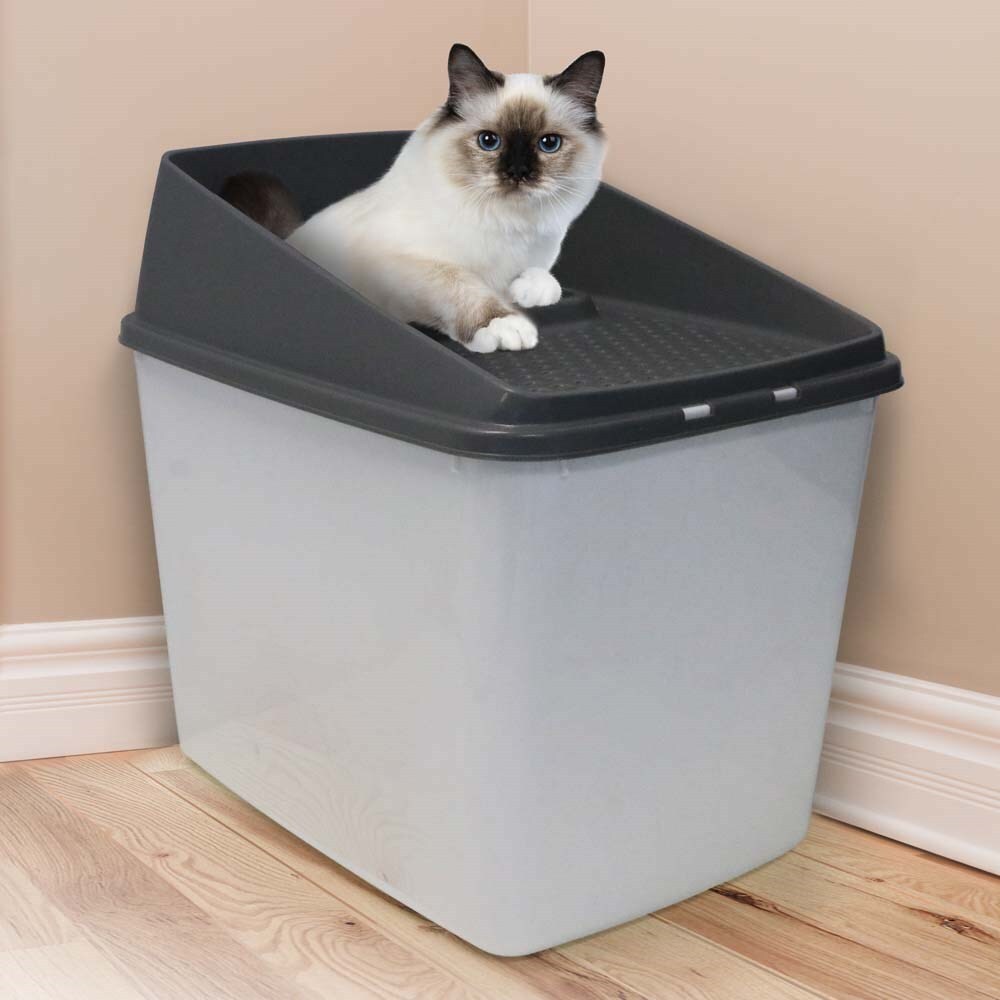 Cat Litter: XL Top Entry Cat Litter Box No Mess Large Enclosed Covered Kitty Tray