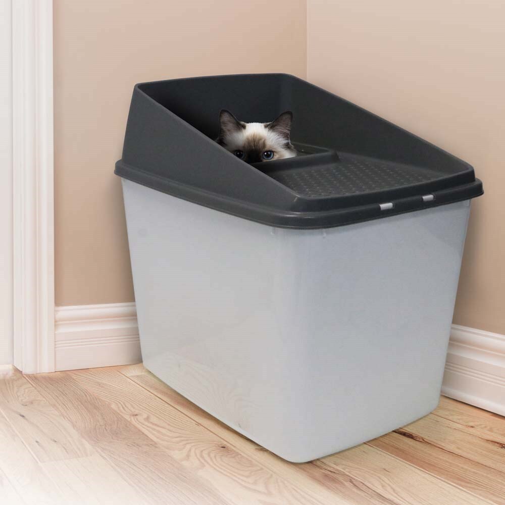 Cat Litter: XL Top Entry Cat Litter Box No Mess Large Enclosed Covered Kitty Tray