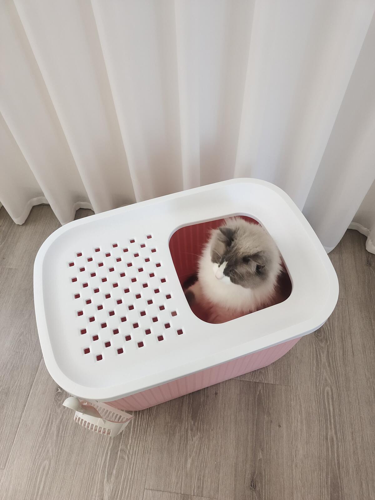 Cat Litter: YES4PETS XXL Top Entry Cat Litter Box No Mess Large Enclosed Covered Kitty Tray Pink