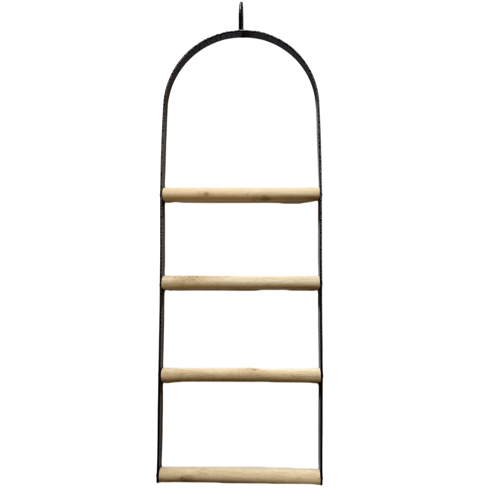 Bird Cages & Stands: YES4PETS Bird Cage Jumbo Swing Metal Arch Frame Wood Perch Canary Pet Parrot Hanging Toy