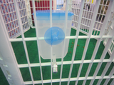 Cat Bowls, Feeders & Waterers: YES4PETS Pet Hanging Water Bottle No Drip Water Dispenser Rabbit Dog Cat Drinking Bottle-Blue