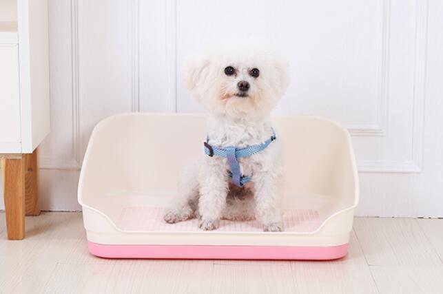 Dog Training Aids: YES4PETS Medium Portable Dog Rabbit Potty Training Tray Pet Puppy Toilet Trays Loo Pad Mat With Wall Pink