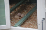 Small Animal Habitats & Cages: YES4PETS Green Large Chicken Coop Rabbit Hutch Ferret Guinea Pig Cage Hen Chook Cat Kitten House