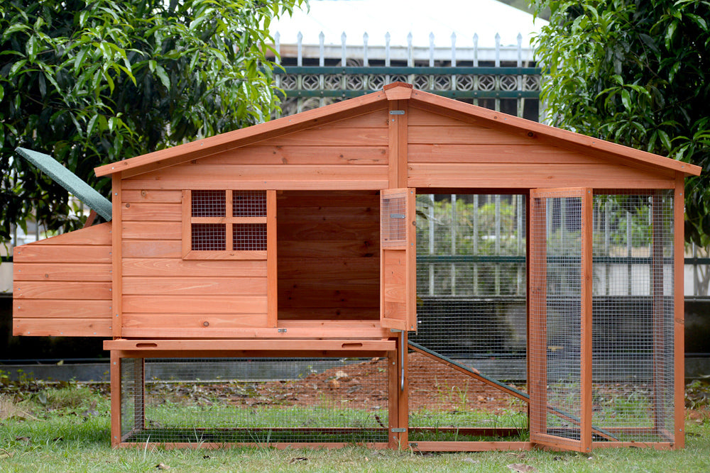 Small Animal Habitats & Cages: YES4PETS XL Chicken Coop Rabbit Guinea Pig Hutch Ferret Hen House