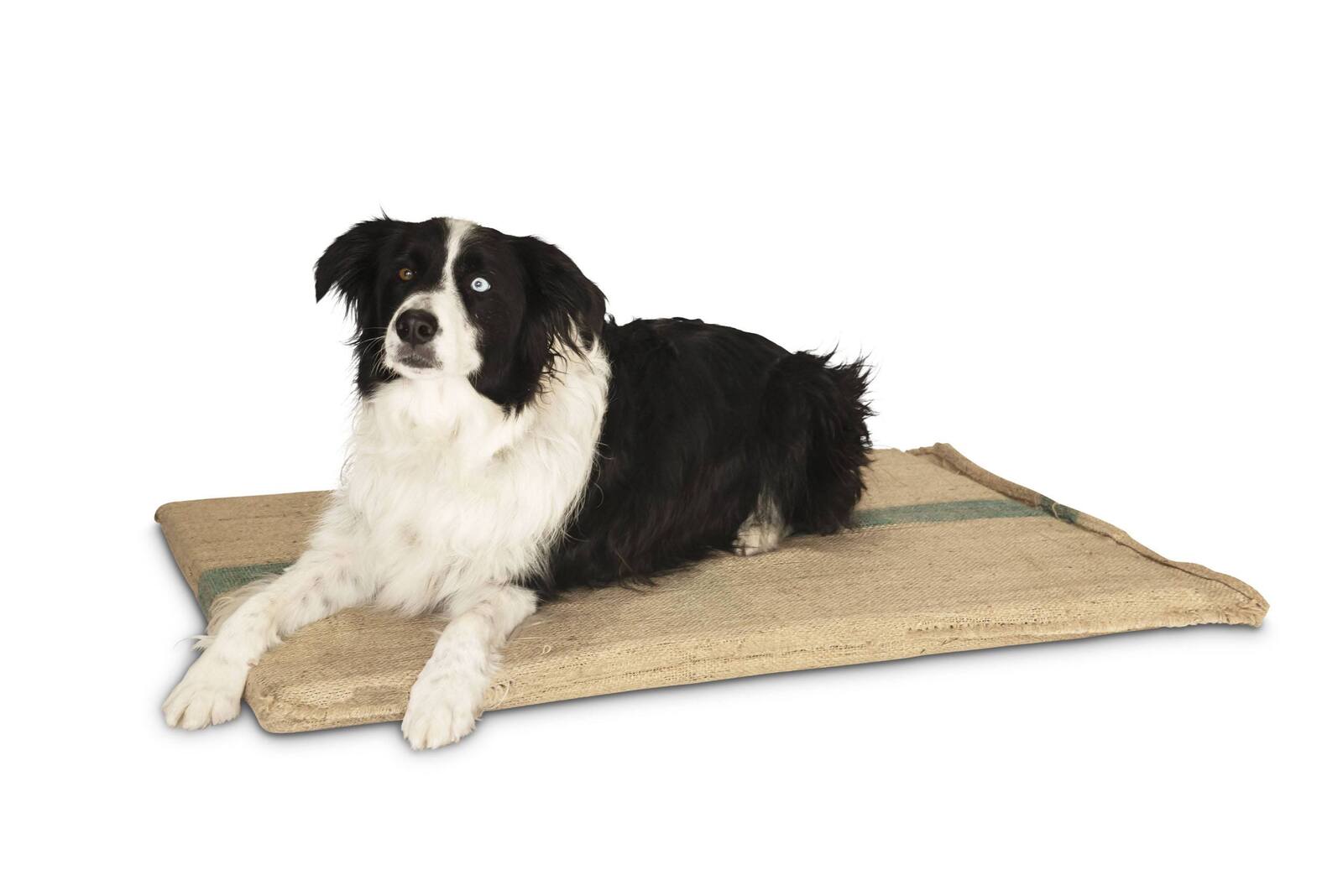 Dog Beds: Large Hessian Pet Dog Puppy Bed Mat Pad House Kennel Cushion With Foam 100 x 69 cm
