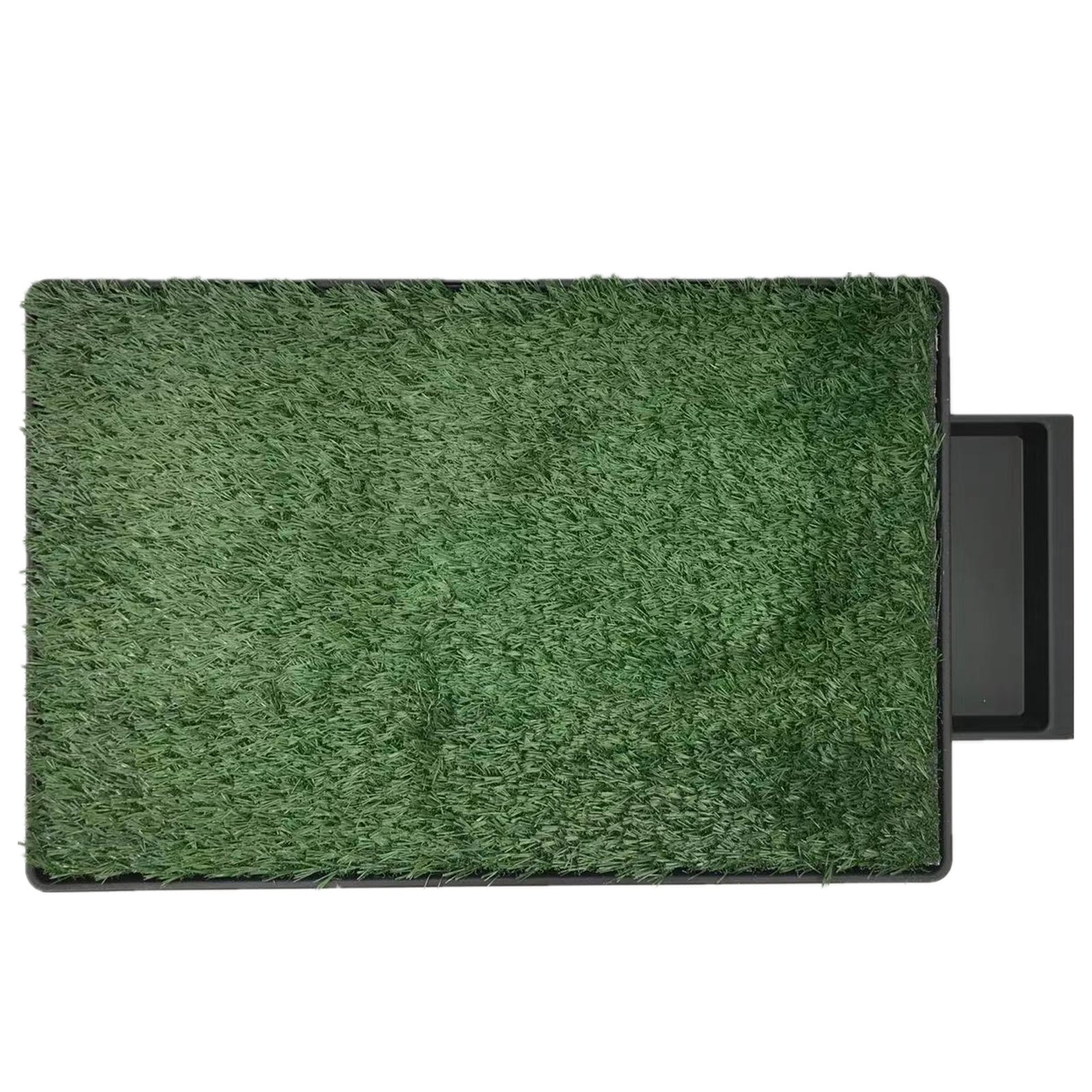 Dog Training Aids: YES4PETS XL Indoor Dog Puppy Toilet Grass Potty Training Mat Loo Pad pad with 1 grass