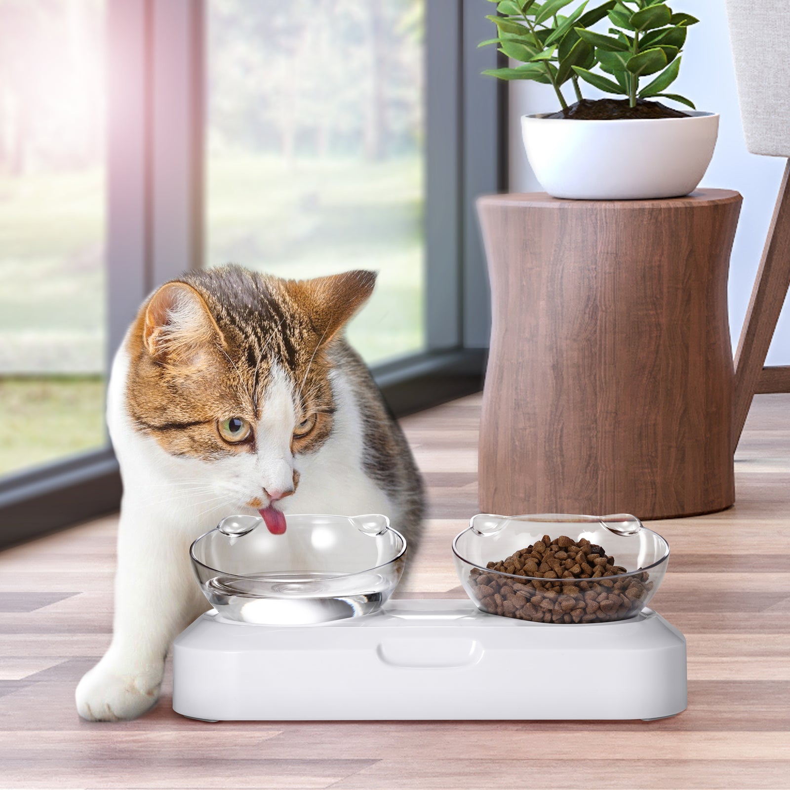Dog Bowls, Feeders & Waterers: YES4PETS Pet Bowl Water Bowls Portable Anti Slip Skid Feeder Dog Rabbit Cat
