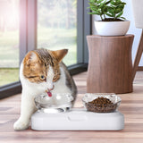 Dog Bowls, Feeders & Waterers: YES4PETS Pet Bowl Water Bowls Portable Anti Slip Skid Feeder Dog Rabbit Cat