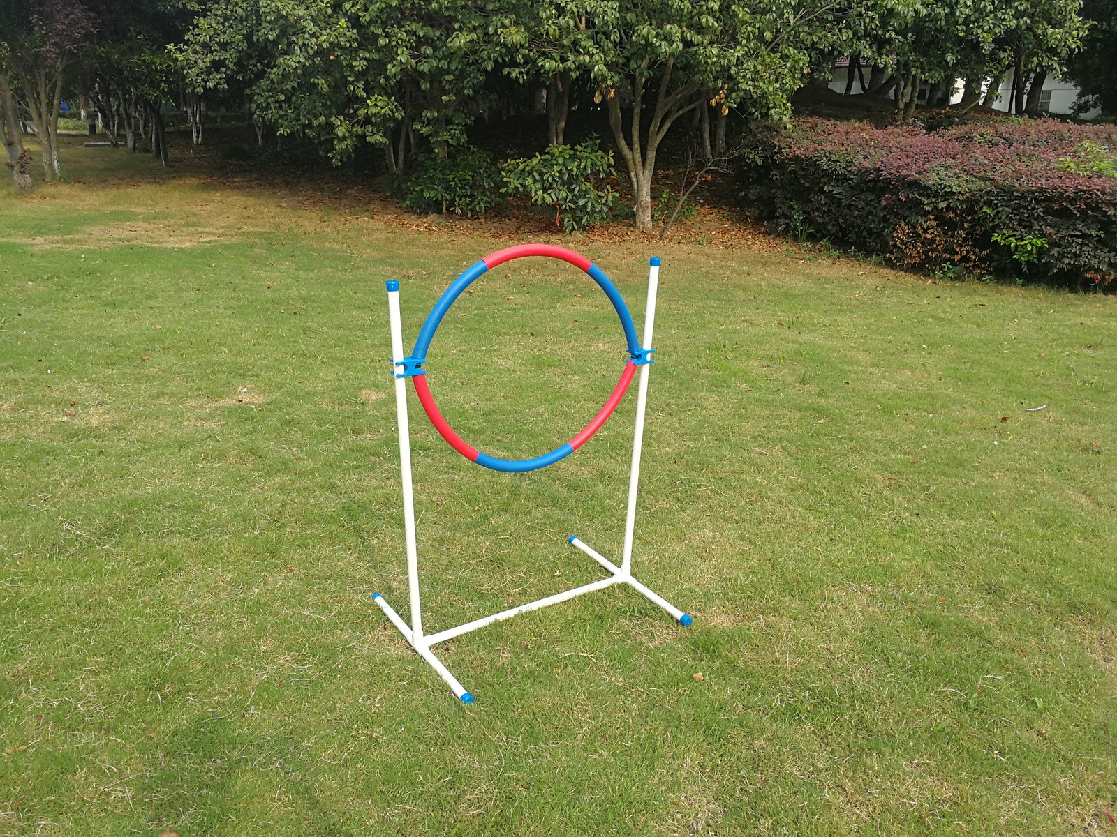 Pool Toys & Inflatables: YES4PETS Portable Adjustable Dog Puppy Training Practice Jump Tyre Agility Post
