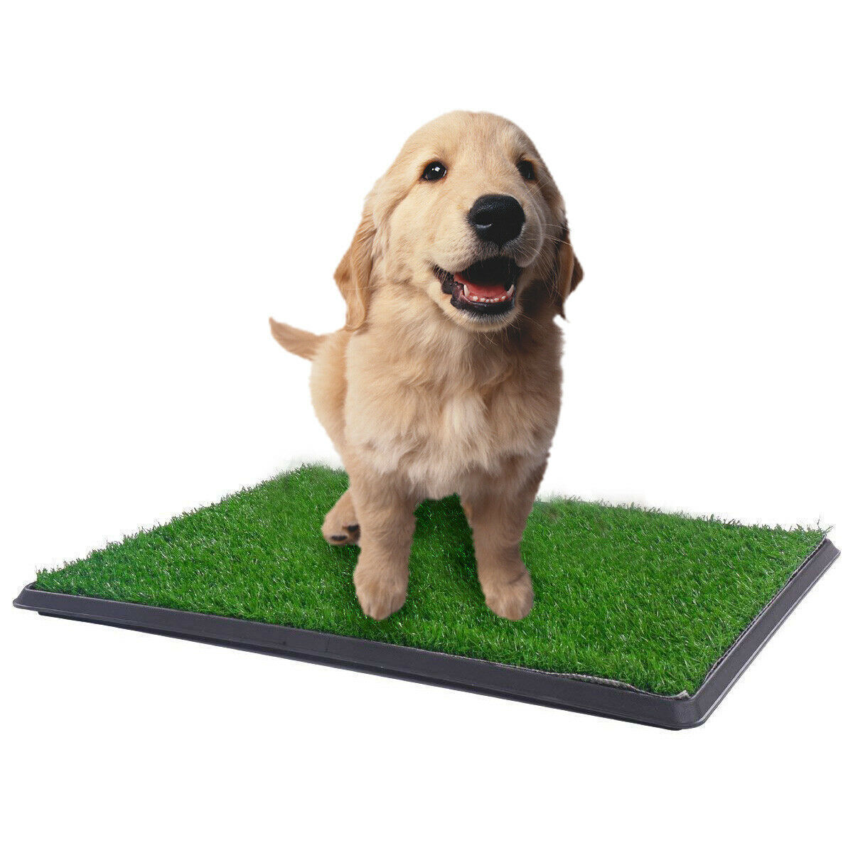 Dog Training Aids: YES4PETS XL Indoor Dog Puppy Toilet Grass Training Mat Loo Pad Potty W 2 Grass