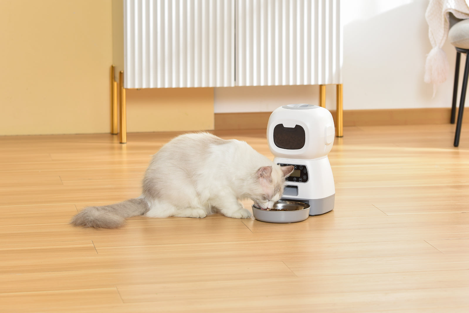 Dog Bowls, Feeders & Waterers: YES4PETS 3.5L Visible Automatic Digital Pet Dog Cat Feeder Food Bowl Dispenser