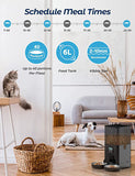 Dog Bowls, Feeders & Waterers: YES4PETS 6L Automatic Digital Pet Dog Cat Feeder Double Food Bowl Dispenser