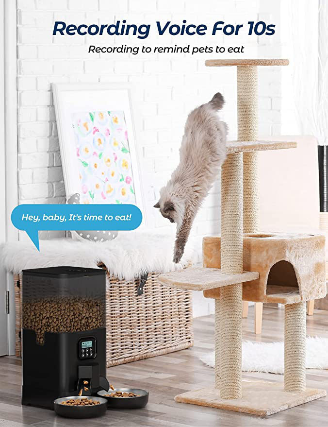 Dog Bowls, Feeders & Waterers: YES4PETS 6L Automatic Digital Pet Dog Cat Feeder Double Food Bowl Dispenser