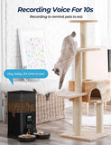 Dog Bowls, Feeders & Waterers: YES4PETS 6L Automatic Digital Pet Dog Cat Feeder Double Food Bowl Dispenser