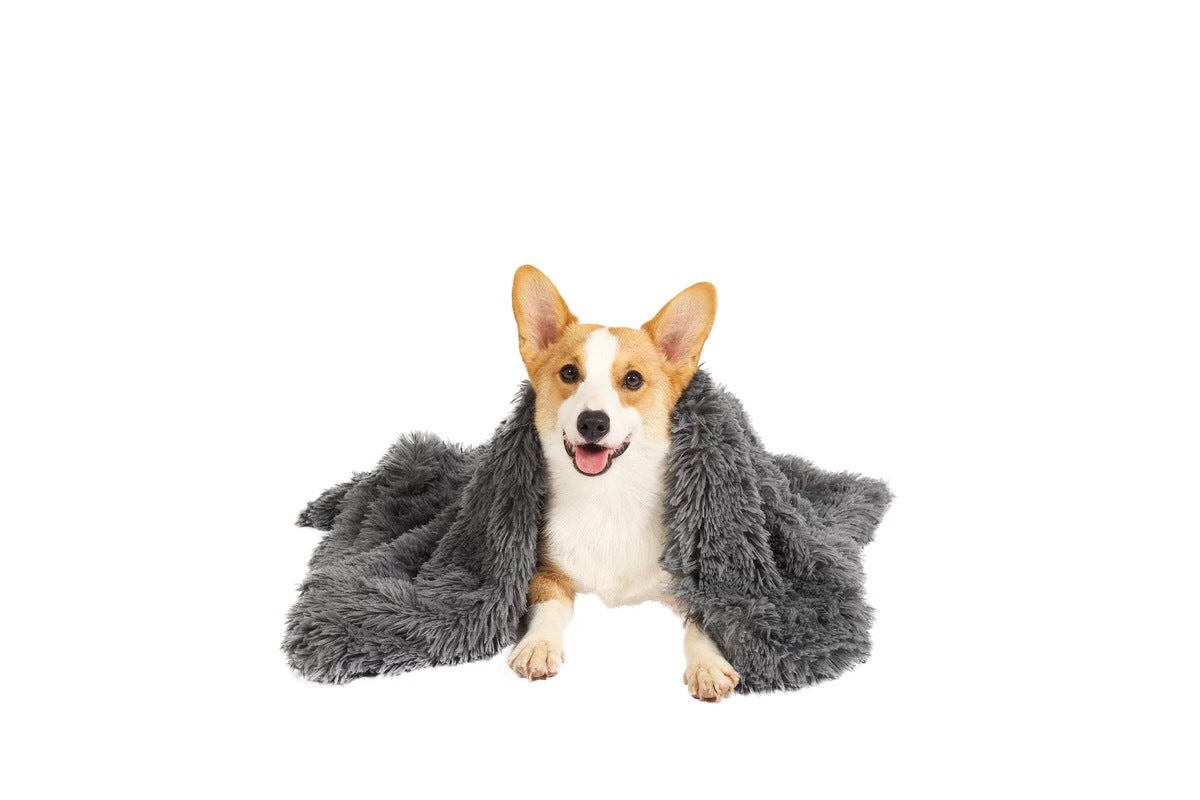 Dog Beds: YES4PETS Pet Calming Plush Blanket Dog Cat Rug Puppy Kitten  Soft Warmth Fleece 127X100 cm
