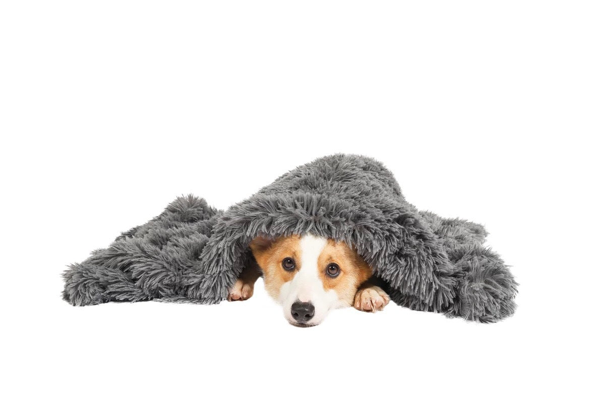 Dog Beds: YES4PETS Pet Calming Plush Blanket Dog Cat Rug Puppy Kitten  Soft Warmth Fleece 127X100 cm