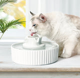 Dog Bowls, Feeders & Waterers: YES4PETS Porcelain Electric Pet Water Fountain Dog Cat Ceramic Water Feeder Bowl Dispenser