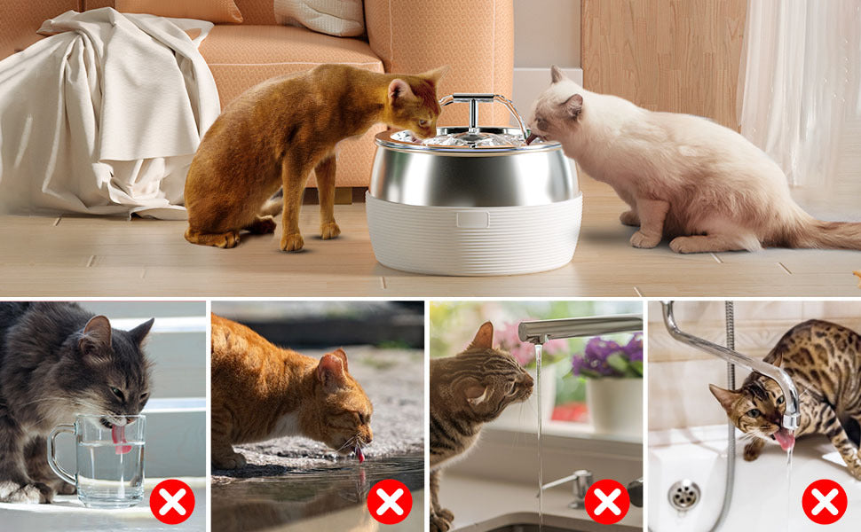Dog Bowls, Feeders & Waterers: YES4PETS 3L Automatic Electric Pet Water Fountain Dog Cat Stainless Steel Feeder Bowl Dispenser White