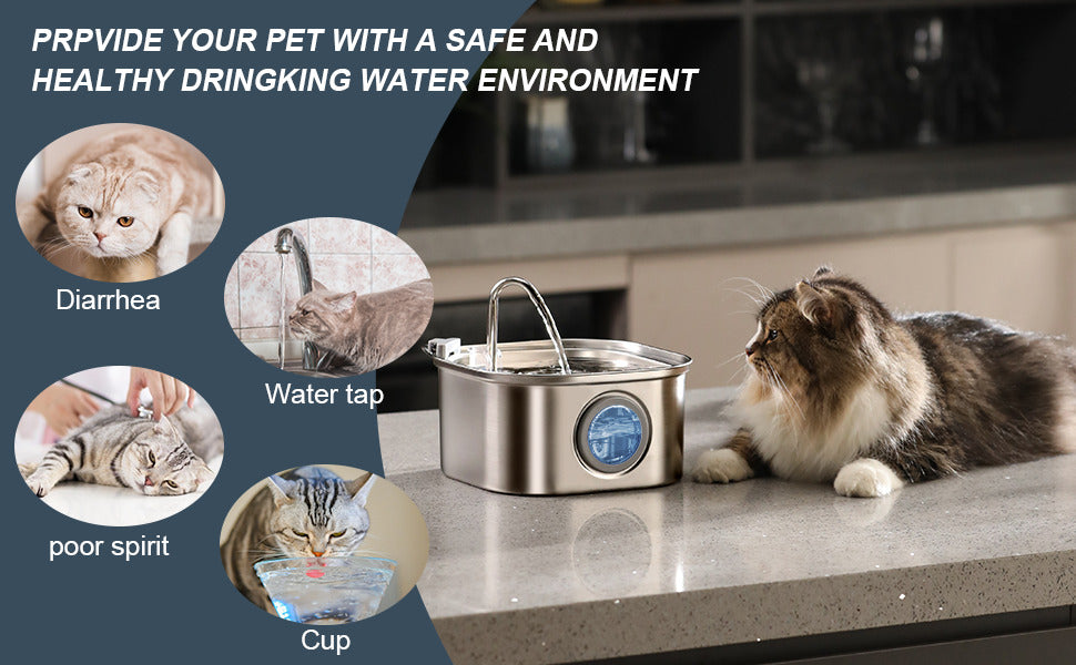 Dog Bowls, Feeders & Waterers: YES4PETS 3.2L Automatic Electric Pet Water Fountain Dog Cat Stainless Steel Feeder Bowl Dispenser
