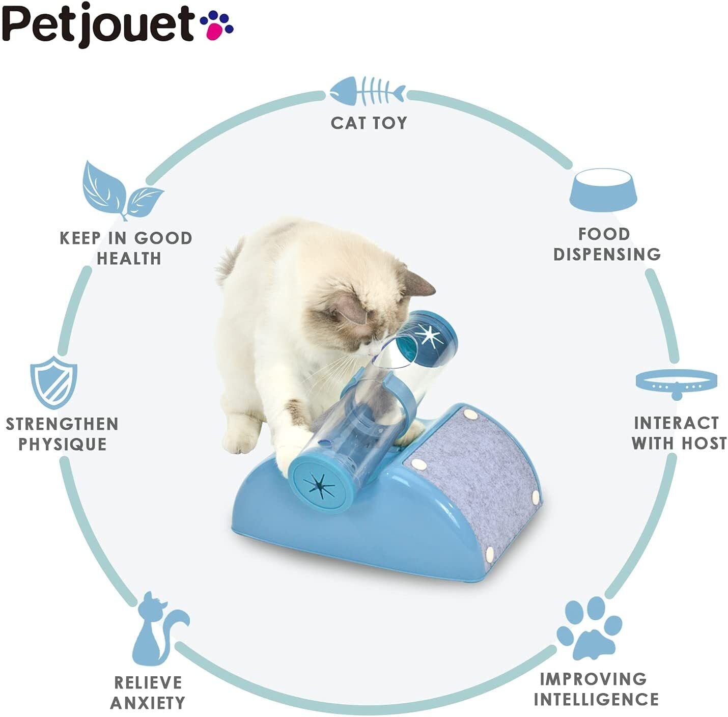 Cat Toys: YES4PETS Cat Play Box Kit Pet Toy Kitten Toys Interactive Ball Peek Hunting Toy-Blue