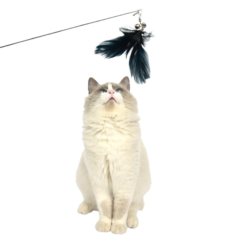 Cat Toys: YES4PETS  2 X Pet Cat Toys Retractable Feathers Teaser Cat Stick Interactive Play