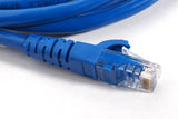 Computer Cables & Adapters: Oxhorn  Network Cable Cat6 0.3m