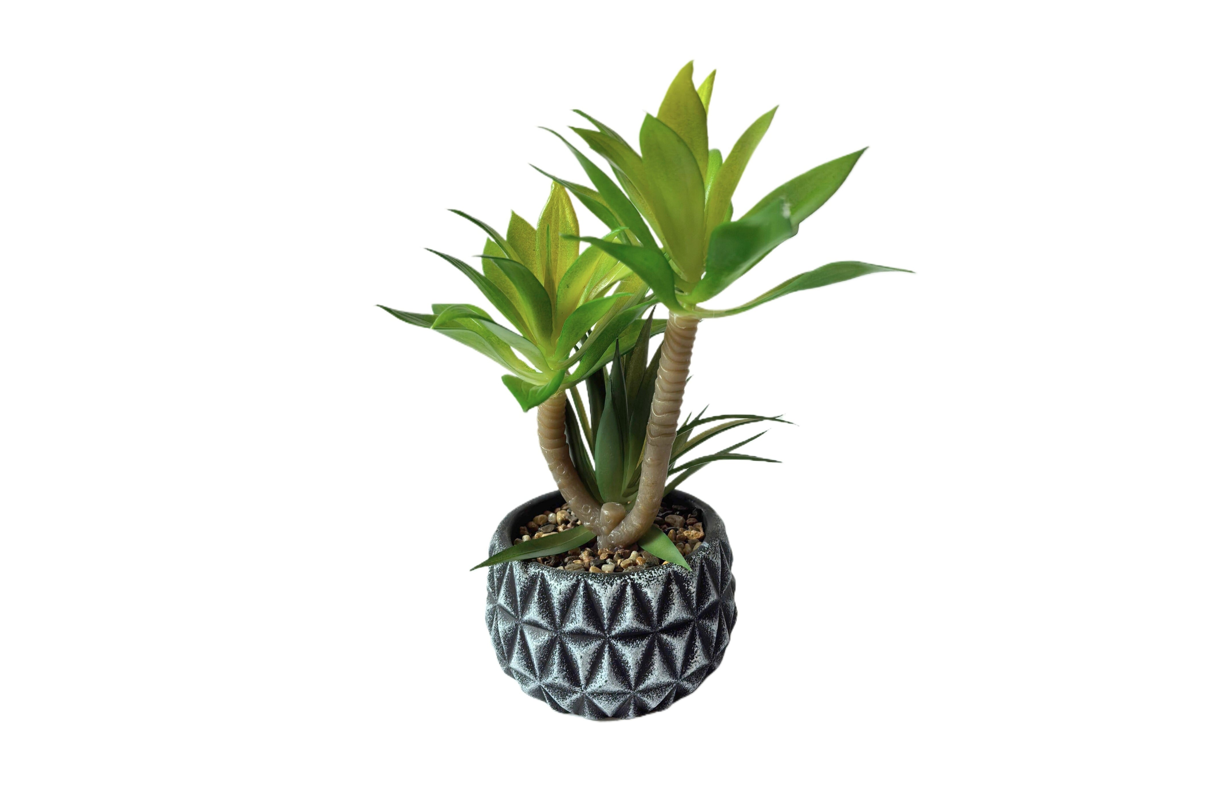 Artificial Potted Plants: Diamond Pattern Pot Succulent Plant