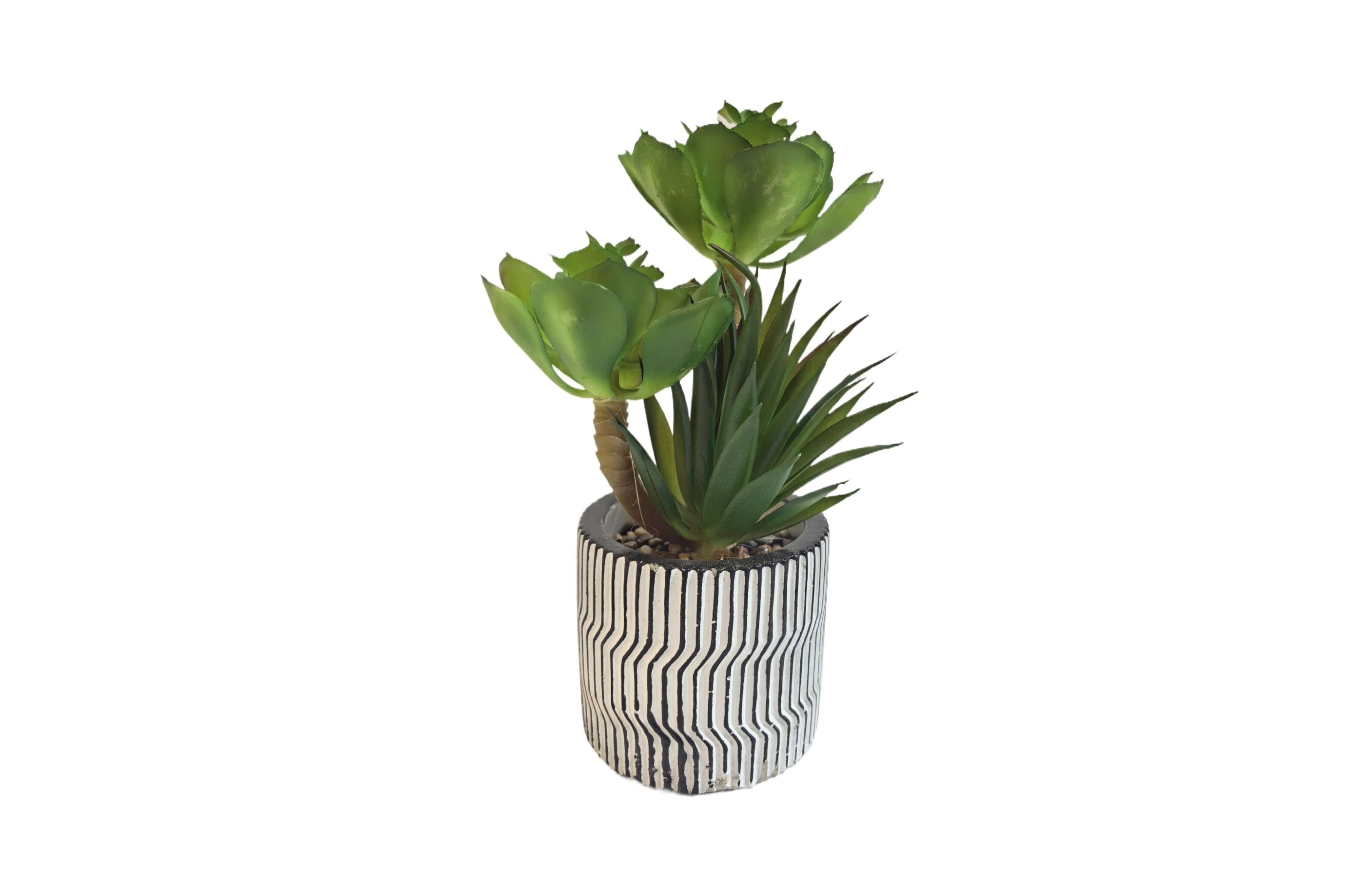 Artificial Potted Plants: Modern Pot Succulent Plant