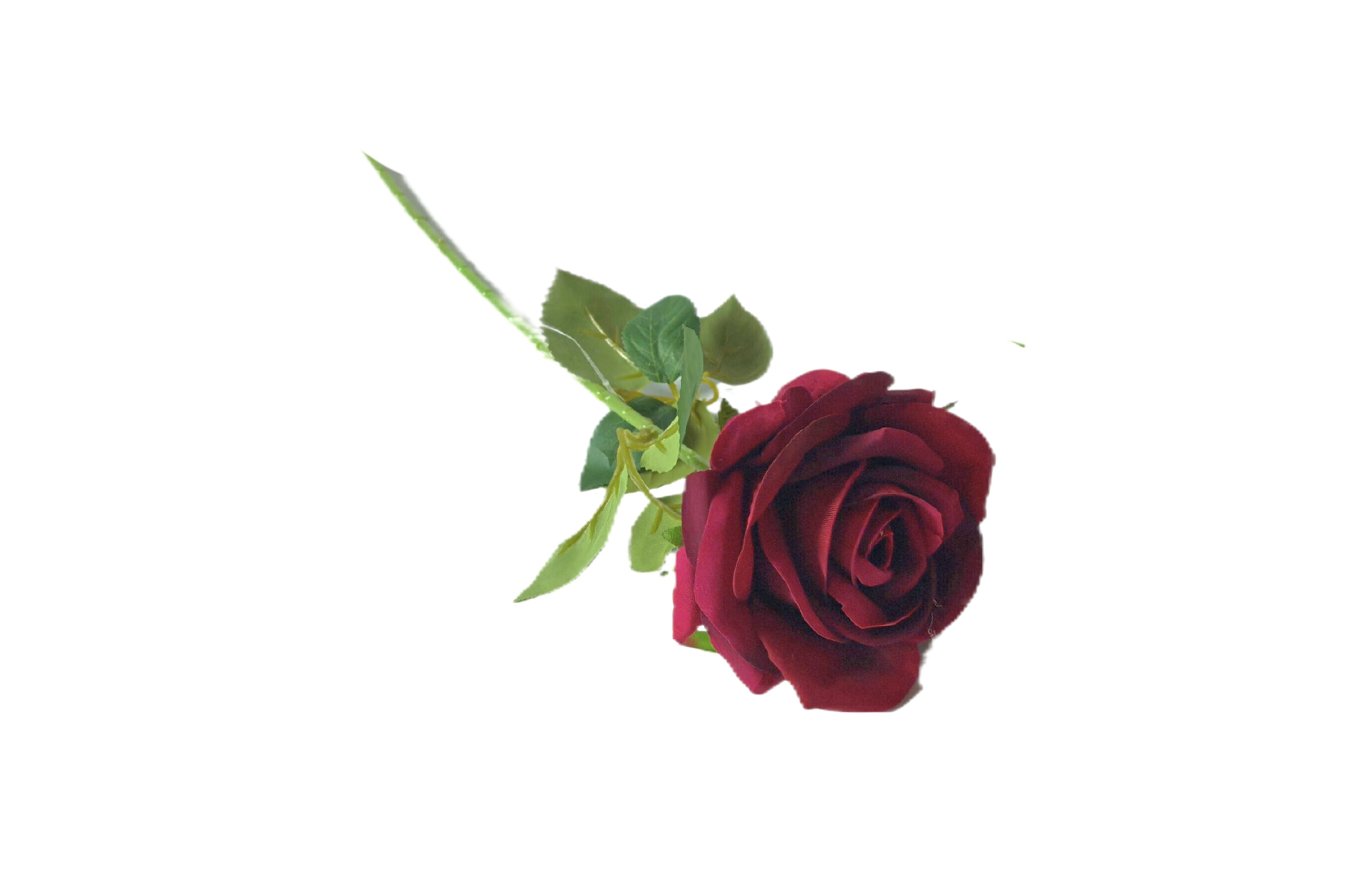 Artificial Flowers & Plants: Artificial Single Stem Rose 50cm -Red - Set of 8 Stems