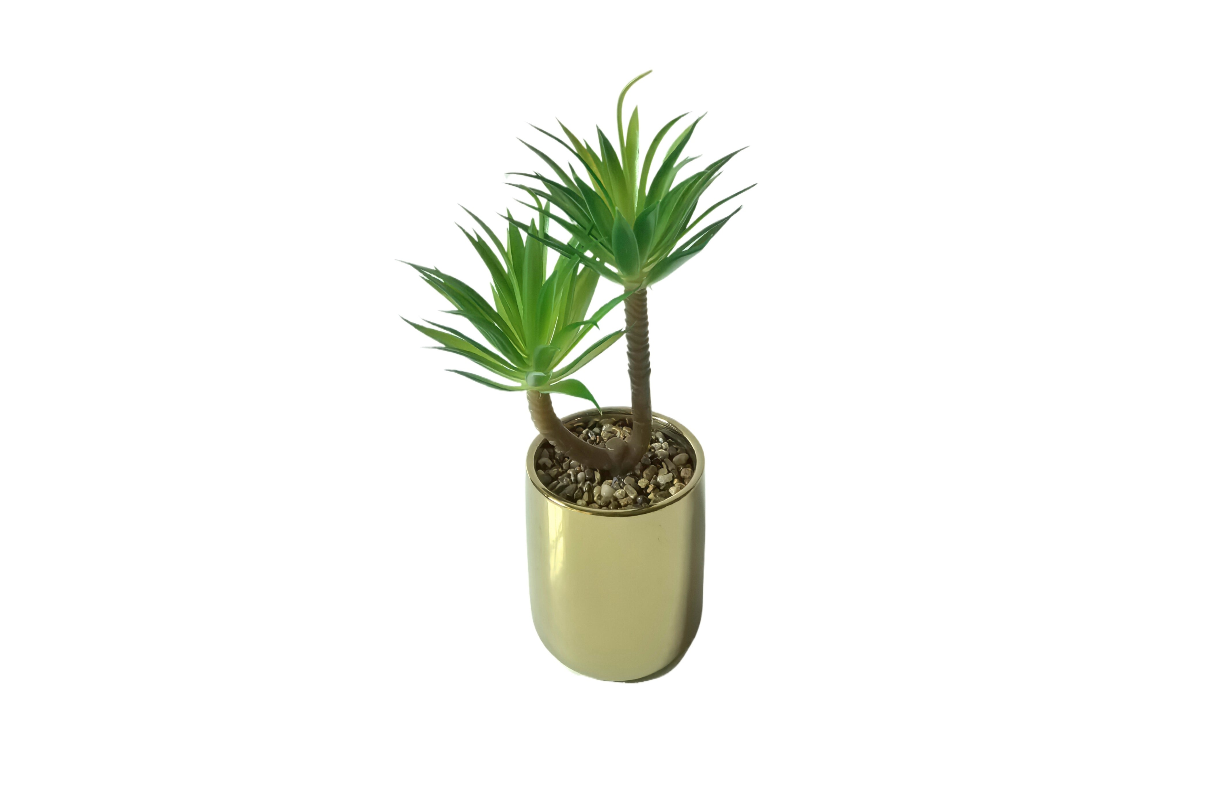Artificial Potted Plants: Tiff Pot Succulent Plant