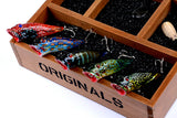Fishing Tackle: 5X 8cm Popper Poppers Fishing Lure Lures Surface Tackle Fresh Saltwater