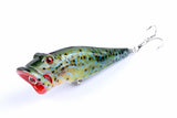 Fishing Tackle: 5X 8cm Popper Poppers Fishing Lure Lures Surface Tackle Fresh Saltwater
