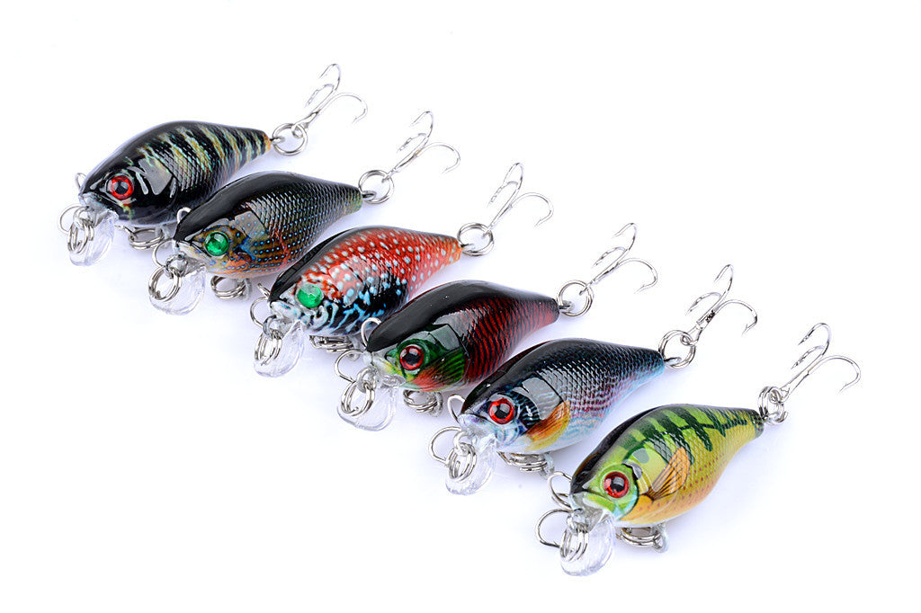 Fishing Tackle: 6x 4.3cm Popper Crank Bait Fishing Lure Lures Surface Tackle Saltwater